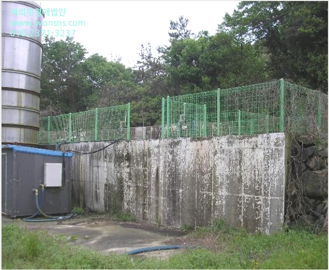 ÅäÁö(´ä) »çÁø1 | °íÈﱺ Æ÷µÎ¸é »óÆ÷¸® | 2024Ÿ°æ1788 | ÅäÁö(´ä)°æ¸Å