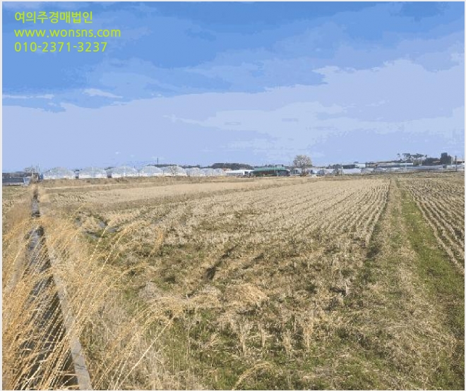 ÅäÁö(´ä) »çÁø1 | ÀÍ»ê½Ã »ï±â¸é ±â»ê¸® | 2025Ÿ°æ20661 | ÅäÁö(´ä)°æ¸Å