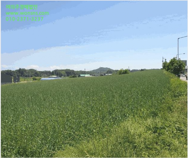 ÅäÁö(ÀÓ¾ß) »çÁø1 | ȼº½Ã Àå¾È¸é ¼®Æ÷¸® | 2025Ÿ°æ56172 | ÅäÁö(ÀÓ¾ß)°æ¸Å