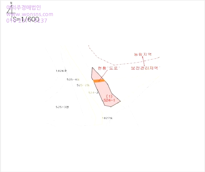 ÅäÁö(´ä) »çÁø1 | ±¸¹Ì½Ã Àåõ¸é ¿À·Î¸® | 2025Ÿ°æ10943 | ÅäÁö(´ä)°æ¸Å