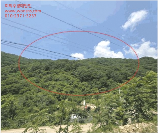 ÅäÁö(ÀÓ¾ß) »çÁø1 | »êû±º ´Ü¼º¸é ¹é¿î¸® | 2025Ÿ°æ775 | ÅäÁö(ÀÓ¾ß)°æ¸Å