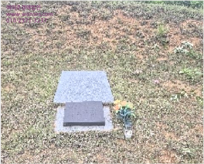 ÅäÁö(ÀÓ¾ß) »çÁø1 | õ¾È½Ã µ¿³²±¸ ±¤´ö¸é | 2025Ÿ°æ11855 | ÅäÁö(ÀÓ¾ß)°æ¸Å