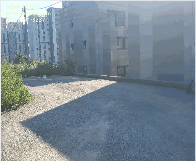 ÅäÁö(ÀÓ¾ß) »çÁø1 | ¿øÁֽà Èï¾÷¸é Èï¾÷¸® | 2025Ÿ°æ1148 | ÅäÁö(ÀÓ¾ß)°æ¸Å