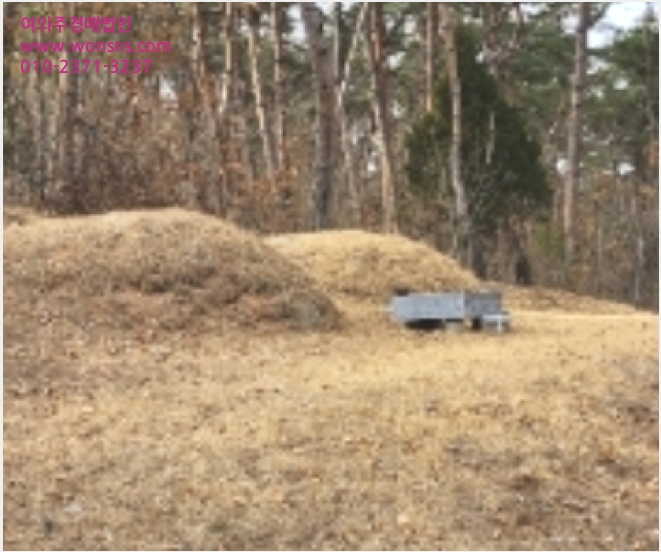 ÅäÁö(Àü) »çÁø1 | ¾Èµ¿½Ã µµ»ê¸é ´Üõ¸® | 2023Ÿ°æ100653 | ÅäÁö(Àü)°æ¸Å