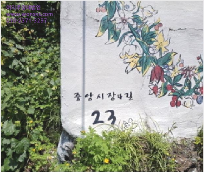 »ó°¡ÁÖÅà »çÁø1 | Å뿵½Ã ÅÂÆòµ¿ 447 | 2025Ÿ°æ21574 | »ó°¡ÁÖÅðæ¸Å