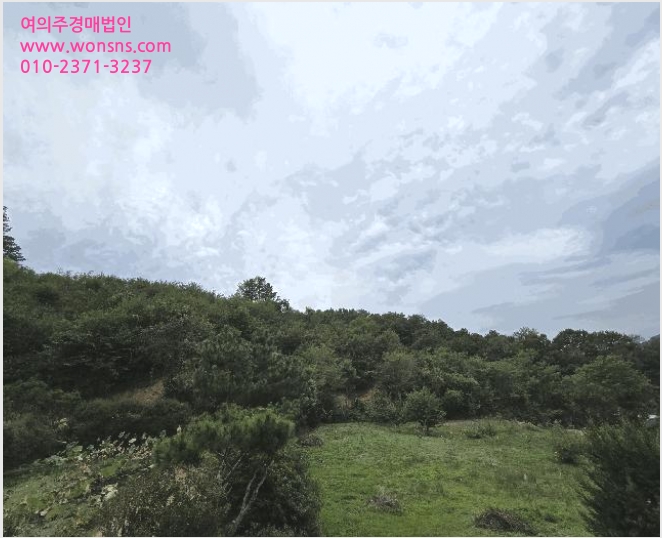 ÅäÁö(ÀÓ¾ß) »çÁø1 | ±Ý»ê±º Á¦¿ø¸é ¸í¾Ï¸® | 2024Ÿ°æ118191 | ÅäÁö(ÀÓ¾ß)°æ¸Å