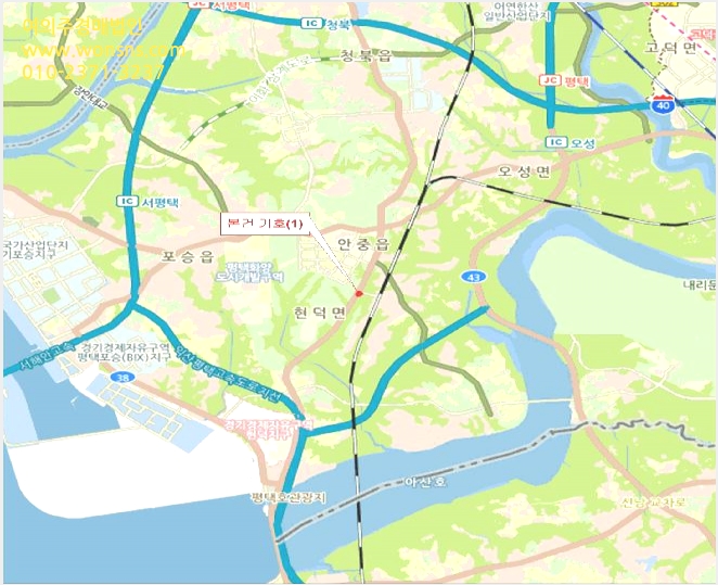 ÅäÁö(Àü) »çÁø1 | ÆòÅýà ¾ÈÁßÀ¾ ¼Û´ã¸® | 2025Ÿ°æ42559 | ÅäÁö(Àü)°æ¸Å