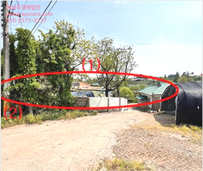 ÅäÁö(ÀÓ¾ß) »çÁø1 | ÆòÅýà Æ÷½ÂÀ¾ È«¿ø¸® | 2024Ÿ°æ44717 | ÅäÁö(ÀÓ¾ß)°æ¸Å
