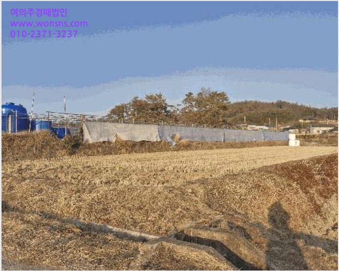 ÅäÁö(´ä) »çÁø1 | °æÁֽà ¿Üµ¿À¾ ¹æ¾î¸® | 2025Ÿ°æ10865 | ÅäÁö(´ä)°æ¸Å