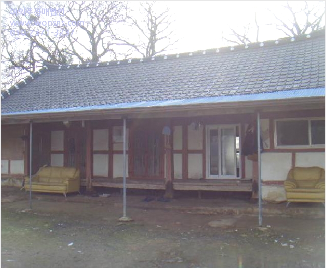 ÅäÁö(Àü) »çÁø1 | ÇØ³²±º Ȳ»ê¸é ¿øÈ£¸® | 2025Ÿ°æ50124 | ÅäÁö(Àü)°æ¸Å