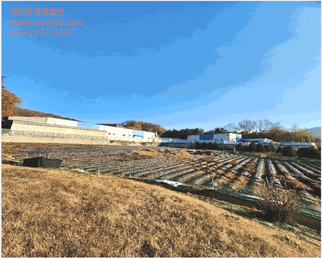 ÅäÁö(Àü) »çÁø1 | À½¼º±º »ý±Ø¸é ¿À»ý¸® | 2024Ÿ°æ35520 | ÅäÁö(Àü)°æ¸Å