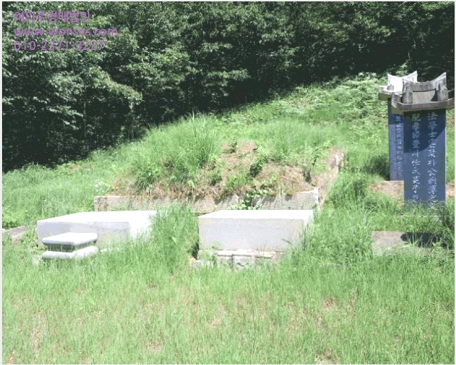 ÅäÁö(ÀÓ¾ß) »çÁø1 | ¿ÏÁÖ±º »ó°ü¸é ÀǾϸ® | 2025Ÿ°æ31507 | ÅäÁö(ÀÓ¾ß)°æ¸Å