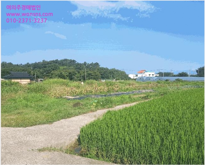 ÅäÁö(´ä) »çÁø1 | »çõ½Ã ½Åº®µ¿ 197-1 | 2025Ÿ°æ851 | ÅäÁö(´ä)°æ¸Å