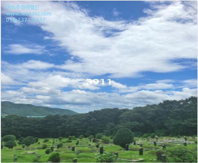 ÅäÁö(ÀÓ¾ß) »çÁø1 | ±âÀ屺 Á¤°üÀ¾ ¿ë¼ö¸® | 2024Ÿ°æ3911 | ÅäÁö(ÀÓ¾ß)°æ¸Å