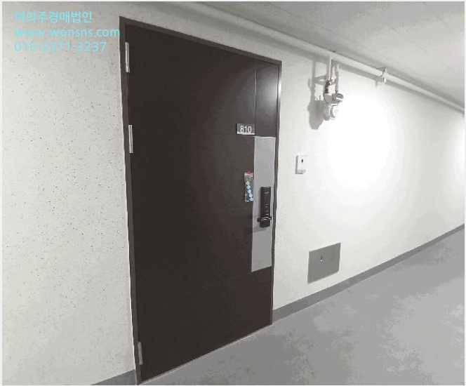 ¿ÀÇǽºÅÚ »çÁø1 | µ¿±¸ ´ëÀε¿ 96 | 2025Ÿ°æ34066 | ¿ÀÇǽºÅÚ°æ¸Å