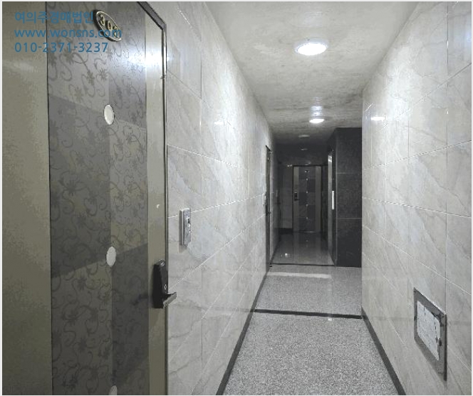 ´Ù°¡±¸ÁÖÅà »çÁø1 | À屺¸é µµ°è¸® 272-6 | 2025Ÿ°æ503106 | ´Ù°¡±¸ÁÖÅðæ¸Å