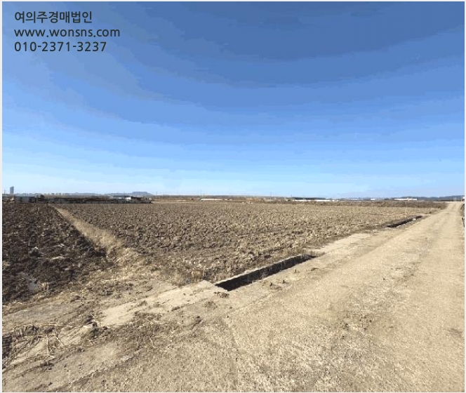 ÅäÁö(´ä) »çÁø1 | ³ªÁֽà ³²ÆòÀ¾ ±³¿ø¸® | 2026Ÿ°æ539 | ÅäÁö(´ä)°æ¸Å