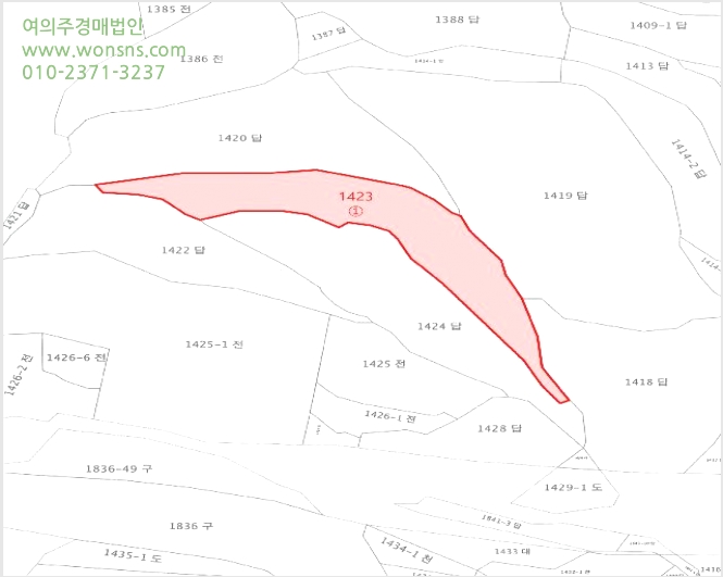 ÅäÁö(´ä) »çÁø1 | ¿øÁֽà Ç౸µ¿ 1423 | 2025Ÿ°æ20652 | ÅäÁö(´ä)°æ¸Å