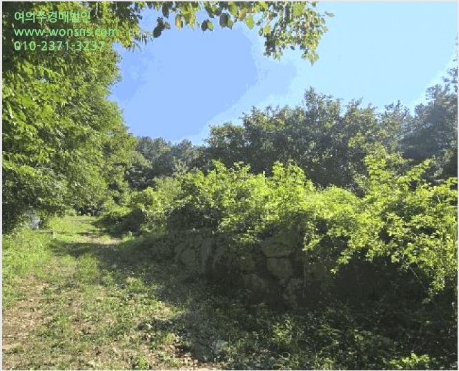 ÅäÁö(ÀÓ¾ß) »çÁø1 | »çõ½Ã ½Ç¾Èµ¿ 258 | 2025Ÿ°æ31164 | ÅäÁö(ÀÓ¾ß)°æ¸Å