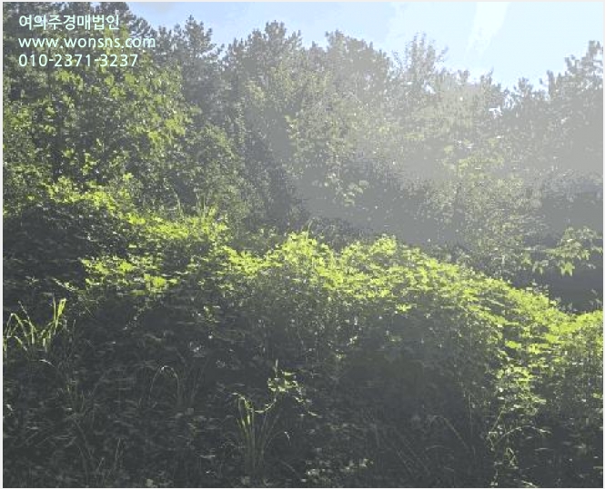 ÅäÁö(ÀÓ¾ß) »çÁø1 | »çõ½Ã ½Ç¾Èµ¿ 258 | 2025Ÿ°æ31164 | ÅäÁö(ÀÓ¾ß)°æ¸Å