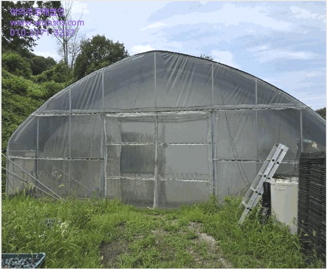 ÅäÁö(Àü) »çÁø1 | ±«»ê±º °¨¹°¸é ¿À¼º¸® | 2025Ÿ°æ51536 | ÅäÁö(Àü)°æ¸Å