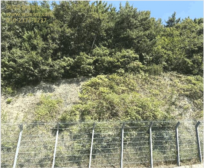 ÅäÁö(ÀÓ¾ß) »çÁø1 | ³²Çرº ¹ÌÁ¶¸é ¼ÛÁ¤¸® | 2025Ÿ°æ31204 | ÅäÁö(ÀÓ¾ß)°æ¸Å