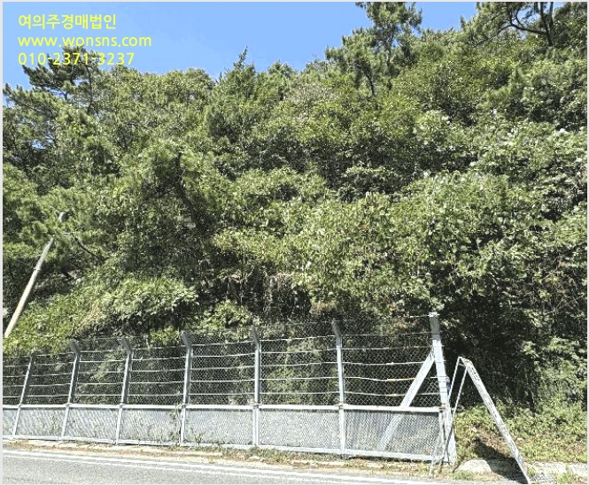 ÅäÁö(ÀÓ¾ß) »çÁø1 | ³²Çرº ¹ÌÁ¶¸é ¼ÛÁ¤¸® | 2025Ÿ°æ31204 | ÅäÁö(ÀÓ¾ß)°æ¸Å