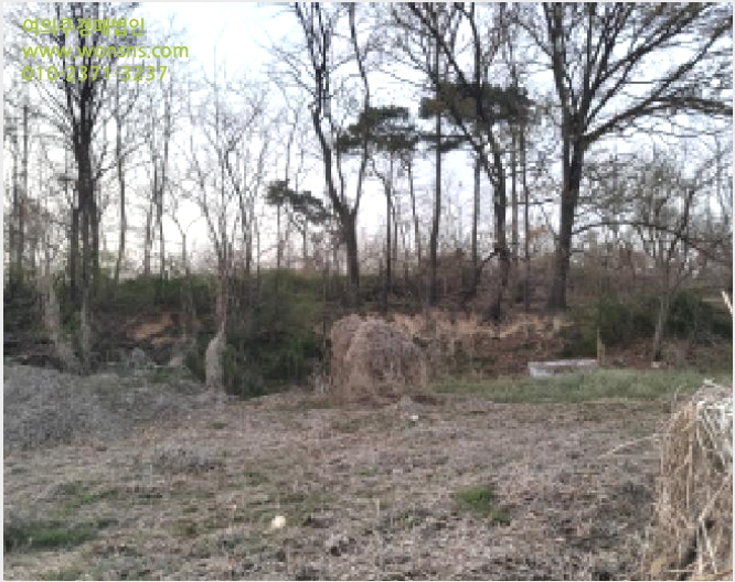 ÅäÁö(ÀÓ¾ß) »çÁø1 | ÆòÅýà Çö´ö¸é ´ö¸ñ¸® | 2025Ÿ°æ41598 | ÅäÁö(ÀÓ¾ß)°æ¸Å