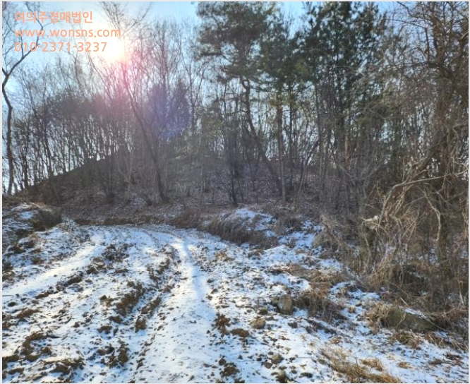 ÅäÁö(ÀÓ¾ß) »çÁø1 | À½¼º±º À½¼ºÀ¾ ÃÊõ¸® | 2024Ÿ°æ98 | ÅäÁö(ÀÓ¾ß)°æ¸Å