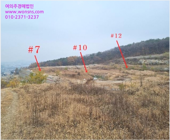 ÅäÁö(Àü) »çÁø1 | Æ÷õ½Ã ¼ÒÈêÀ¾ Ãʰ¡ÆÈ¸® | 2024Ÿ°æ88194 | ÅäÁö(Àü)°æ¸Å