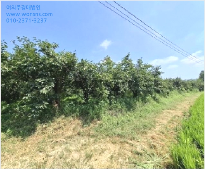 ÅäÁö(´ä) »çÁø1 | »çõ½Ã Á¤µ¿¸é °íÀ¾¸® | 2025Ÿ°æ823 | ÅäÁö(´ä)°æ¸Å