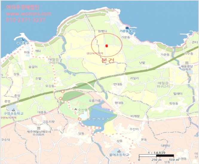 ÅäÁö(Àü) »çÁø1 | Á¦Áֽà ¾Ö¿ùÀ¾ ÇϱÍ2¸® | 2024Ÿ°æ9275 | ÅäÁö(Àü)°æ¸Å