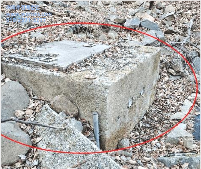 ÅäÁö(°ú¼ö¿ø) »çÁø1 | ÇԾȱº ¿©Ç׸é ÁÖ¼¸® | 2025Ÿ°æ20353 | ÅäÁö(°ú¼ö¿ø)°æ¸Å