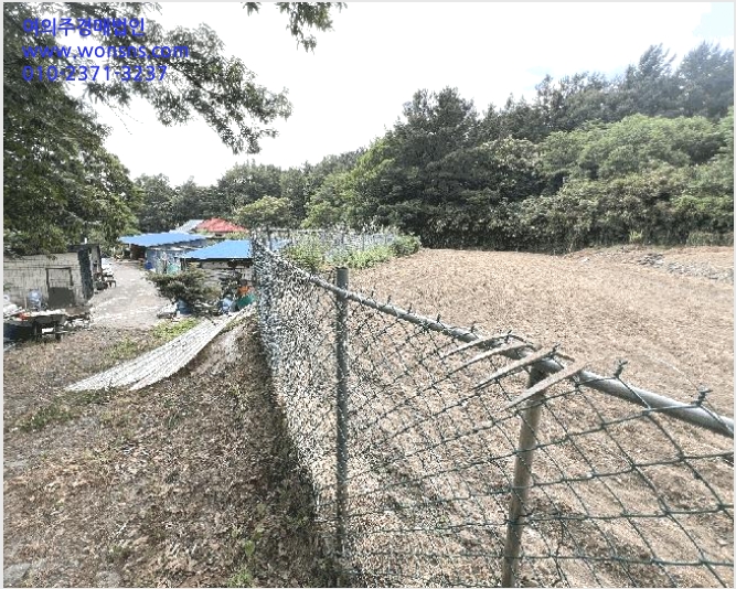 ÅäÁö(ÀÓ¾ß) »çÁø1 | º¸·É½Ã ¸íõµ¿ 1-7 | 2025Ÿ°æ15665 | ÅäÁö(ÀÓ¾ß)°æ¸Å