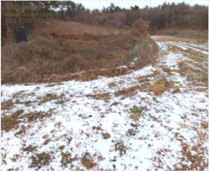ÅäÁö(ÀÓ¾ß) »çÁø1 | ¼»ê½Ã ´ë»êÀ¾ ¿ÀÁö¸® | 2024Ÿ°æ61757 | ÅäÁö(ÀÓ¾ß)°æ¸Å
