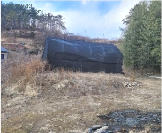 ÅäÁö(Àü) »çÁø1 | ÇԾȱº ¹ý¼ö¸é ¿ì°Å¸® | 2024Ÿ°æ107647 | ÅäÁö(Àü)°æ¸Å