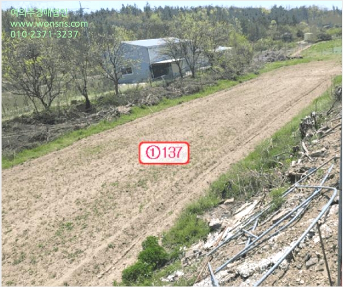 ÅäÁö(´ä) »çÁø1 | ¿µÃµ½Ã ÀÓ°í¸é Æòõ¸® | 2025Ÿ°æ771 | ÅäÁö(´ä)°æ¸Å