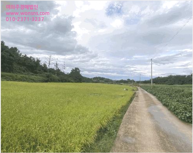 ÅäÁö(´ä) »çÁø1 | ¿µ¾Ï±º ½ÃÁ¾¸é ³»µ¿¸® | 2025Ÿ°æ51346 | ÅäÁö(´ä)°æ¸Å