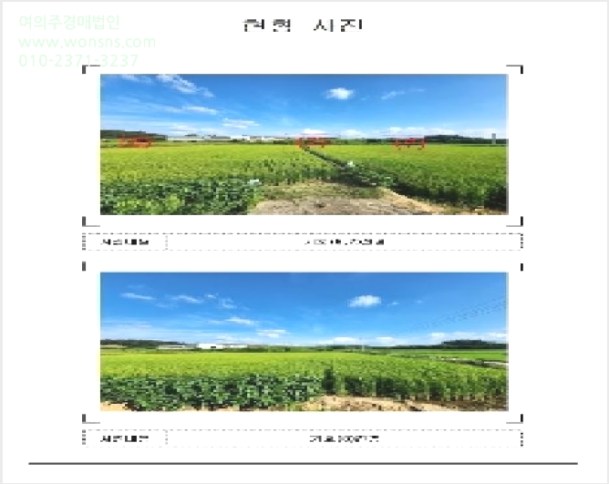 ÅäÁö(´ä) »çÁø1 | ¿µ¾Ï±º ½ÃÁ¾¸é ³»µ¿¸® | 2025Ÿ°æ51346 | ÅäÁö(´ä)°æ¸Å