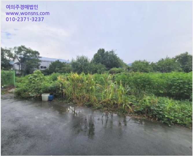 ÅäÁö(´ëÁö) »çÁø1 | µ¿±¸ µÐ»êµ¿ 987 | 2025Ÿ°æ8966 | ÅäÁö(´ëÁö)°æ¸Å