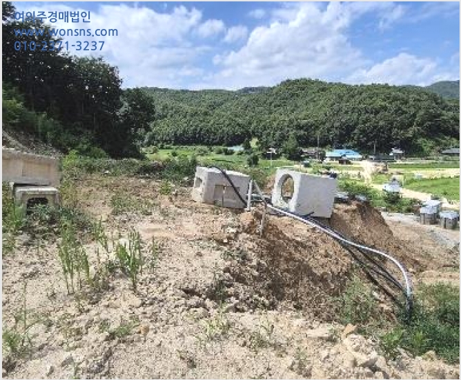 ÅäÁö(ÀÓ¾ß) »çÁø1 | ¾çÆò±º ¾çµ¿¸é ´Ü¼®¸® | 2024Ÿ°æ37549 | ÅäÁö(ÀÓ¾ß)°æ¸Å