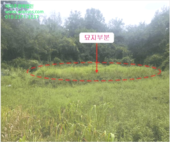 ÅäÁö(Àü) »çÁø1 | ¼ºÁÖ±º ÃÊÀü¸é Ä¥¼±¸® | 2025Ÿ°æ31765 | ÅäÁö(Àü)°æ¸Å