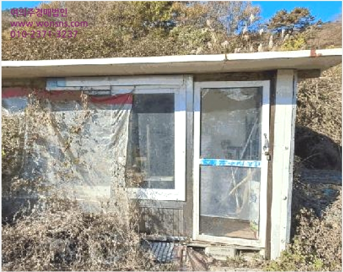 ÅäÁö(´ä) »çÁø1 | ¾ç»ê½Ã Æò»êµ¿ 955 | 2025Ÿ°æ12781 | ÅäÁö(´ä)°æ¸Å