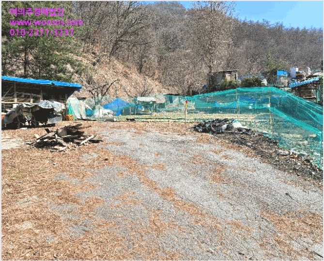 ÅäÁö(Àü) »çÁø1 | ÃæÁֽà ¿ëźµ¿ 876 | 2025Ÿ°æ30416 | ÅäÁö(Àü)°æ¸Å