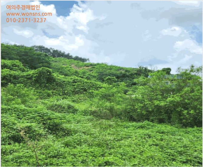 ÅäÁö(Àü) »çÁø1 | À½¼º±º °¨°î¸é ´ÜÆò¸® | 2025Ÿ°æ1821 | ÅäÁö(Àü)°æ¸Å