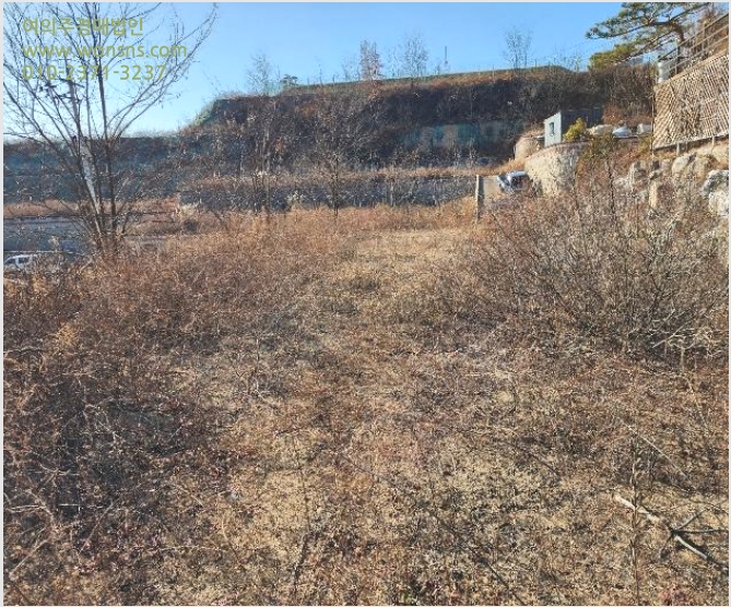 ÅäÁö(´ëÁö) »çÁø1 | ¾Èµ¿½Ã ¼ÛÇöµ¿ 106-8 | 2024Ÿ°æ104201 | ÅäÁö(´ëÁö)°æ¸Å