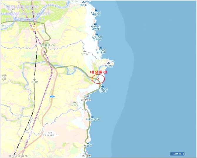 ÅäÁö(´ä) »çÁø1 | ¿µ´ö±º Ãà»ê¸é Ãà»ê¸® | 2025Ÿ°æ479 | ÅäÁö(´ä)°æ¸Å