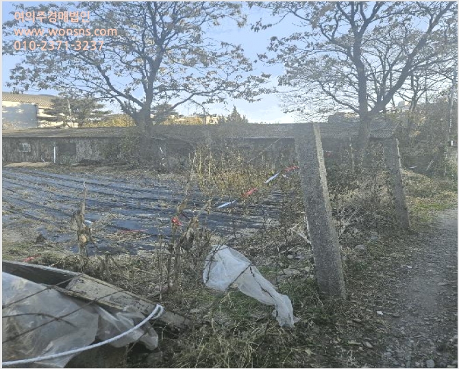 ÅäÁö(Àü) »çÁø1 | °æÁֽà ¾È°À¾ »ê´ë¸® | 2025Ÿ°æ10788 | ÅäÁö(Àü)°æ¸Å