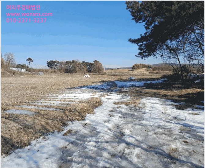 ÅäÁö(ÀÓ¾ß) »çÁø1 | ´çÁø½Ã ¼ø¼º¸é ¹é¼®¸® | 2025Ÿ°æ407 | ÅäÁö(ÀÓ¾ß)°æ¸Å