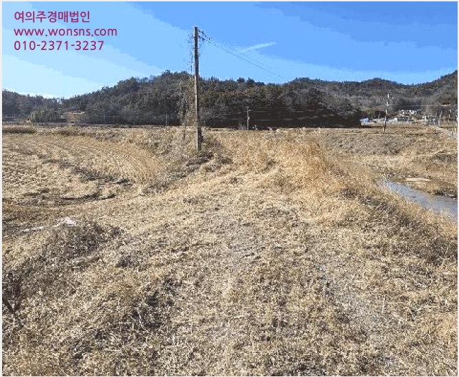 ÅäÁö(´ä) »çÁø1 | ÀåÈﱺ ÀåÆò¸é µÎºÀ¸® | 2025Ÿ°æ5371 | ÅäÁö(´ä)°æ¸Å